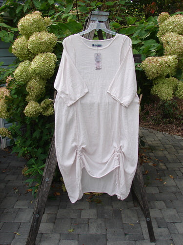 Barclay NWT Textured Batiste Linen Haystack Dress hangs on a wooden ladder, showcasing elbow-length sleeves, an A-line shape, and ruched detailing with drawstrings, embodying Bluefishfinder.com's vintage creativity.