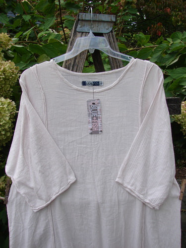 Barclay NWT Textured Batiste Linen Haystack Dress, Unpainted Translucent Size 0, featuring a loose-weave texture and three-quarter sleeves, displayed outdoors, highlighting its airy, featherweight design with subtle basket weave.