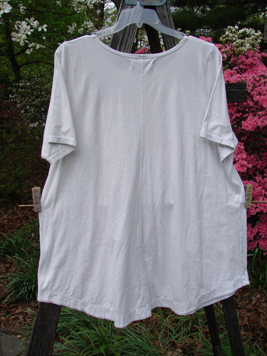 Barclay Short Sleeved Two Pocket Twinkle Top Leaf Fern Light Natural Size 2 displayed on a clothes rack, showcasing its rounded neckline, two front drop pockets, and softly rounded A-line shape.