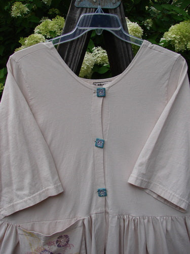 Barclay Flower Garden Cardigan Dress Dragonfly Natural Size 2 on hanger, featuring three ceramic buttons, pleated skirt, rounded neckline, and dragonfly theme.