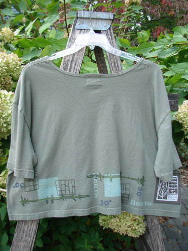 2000 City Side Crop Tee Top Navigation Border Park Size 2, featuring abstract map motifs around the hem, displayed on a hanger over a wooden stepladder, showcasing its wide, swingy shape.