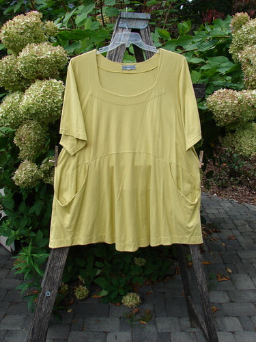 Barclay Seedling Top Unpainted Sunshine Size 2: A loose-fitting, short-sleeved tunic in organic cotton with a scoop neckline, seam detailing, and two patch pockets, displayed outdoors on a hanger.