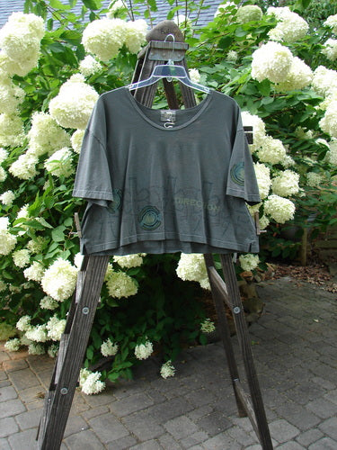 2000 NWT City Side Crop Tee Top Directional Grid Size 2 displayed on a wooden ladder, showcasing its wide swingy shape, softly rolled neckline, and distinctive big paint sleeve accents.