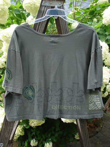 2000 NWT City Side Crop Tee Top in Grid. Grey shirt on a swinger with directional theme paint. Big sleeve accents, wide swingy shape, vented sides, rolled neckline, and Blue Fish patch. Bust 58, Waist 58, Sweep 60, Length 22.
