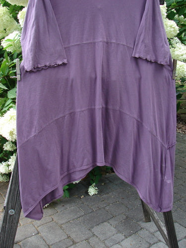 Barclay Vertical Gather Drop Pocket Dress Unpainted Dusty Plum Size 2 displayed on a clothes rack, showcasing its unique dip side hemline and front vertical gather.