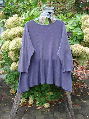 Barclay Thermal A Lined Top Spirograph Plum Size 2 features a flared peplum hem, rounded neckline, and long sleeves, displayed on a hanger against an outdoor floral backdrop.