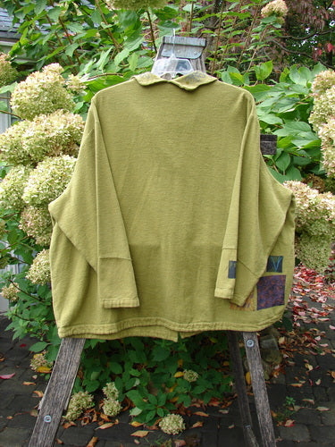Barclay Patched Flannel Frolic Jacket Green Seed Size 2 displayed on a wooden ladder outdoors, featuring wide sleeves, patchwork details, oversized pocket, and unique buttons amidst a garden backdrop.