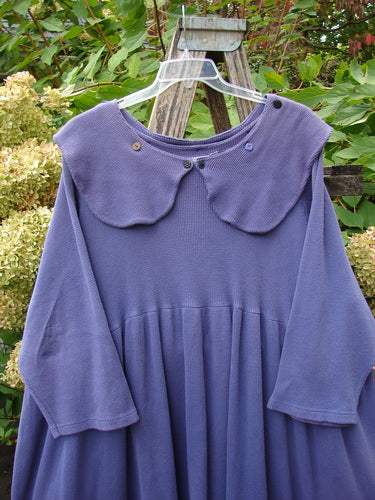 1992 Thermal Silly Collar Dress Unpainted Periwinkle Size 2, showcasing a wide petal-shaped collar with button accents, three-quarter sleeves, and a gathered skirt, exuding vintage charm against a natural backdrop.