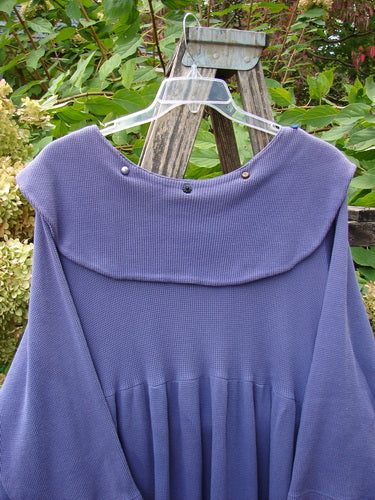 1992 Thermal Silly Collar Dress Unpainted Periwinkle Size 2, featuring a wide, button-snapped yoke, empire waist seam, and three-quarter sleeves, hangs on a ladder in a garden setting.
