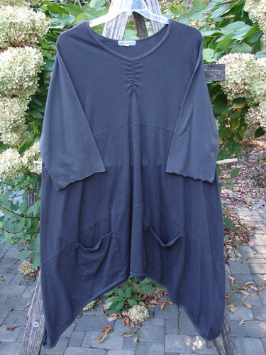 Barclay Perfect Day Dress Unpainted Black Size 2: Loose-fitting tunic with elbow-length sleeves, ruched neckline, asymmetrical hem, two front patch pockets, and sectional panels, hanging on a clear hanger outdoors.