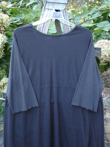 Barclay Perfect Day Dress Unpainted Black Size 2 displayed on a hanger outdoors, featuring a three-quarter sleeve, loose fit, elastic gathered neckline, oversized pockets, and lettuce-edged sleeves.