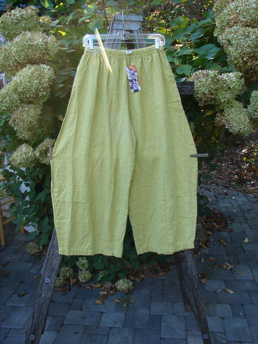 Barclay NWT Linen Alchemist Pant Unpainted Citron Size 0, wide-leg silhouette with elastic waistband, hangs on a patio. Features include dual front pockets, sectional panels, and lower leg bell accents.