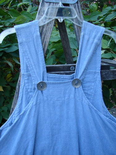 1999 Summercloth Suspender Overall Jumper Unpainted Bluestone Size 1 displayed outdoors, showcasing wide shoulder straps with oversized buttons, empire waist seam, and deep side pockets, reflecting vintage Blue Fish Clothing style.