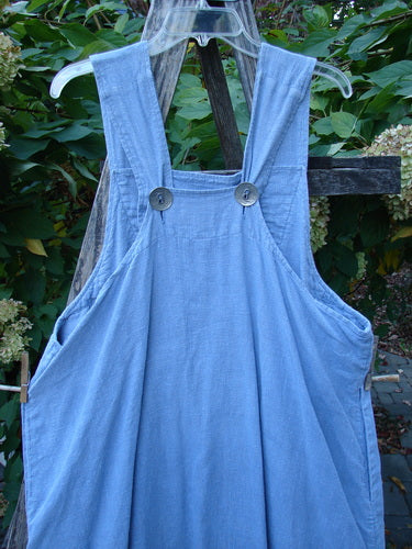 1999 Summercloth Suspender Overall Jumper Unpainted Bluestone Size 1 displayed outdoors on a hanger, showcasing its sturdy shoulder straps, double oversized metal buttons, and deep side pockets against garden foliage.