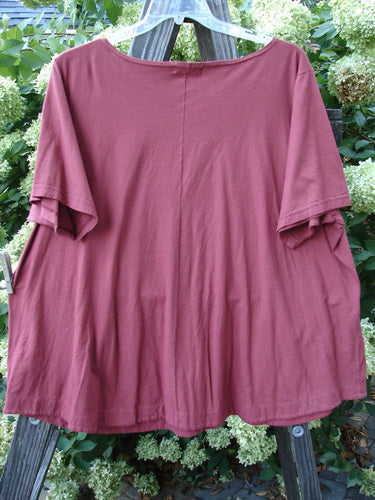 Barclay Double Pocket Twinkle Top Unpainted Cinnabar Size 2 on a wooden swinger, showcasing short sleeves, boat neckline, A-line shape, center seam, and two lower front pockets.