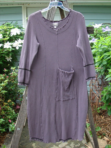 2000 Thermal Brann Dress Bubble Eggplant Size 1 displayed on a hanger with ruffled accents, a front pocket, and sectional panels, showcasing its unique design and tailored features.