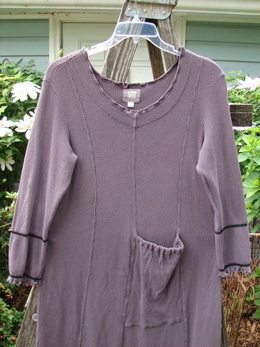 2000 Thermal Brann Dress Bubble Eggplant Size 1 displayed on a plastic hanger, featuring ruffled accents, a large front pocket, pegged lower hem, and tailored lower arm bands.