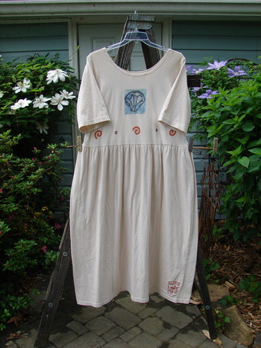 1996 Simple Dress Fish Birch Bark Size 2 displayed on a hanger, featuring a slightly deeper rounded neckline, drop empire waist seam, gathered waistline fabric, and full sweeping skirt with Blue Fish signature stamp.