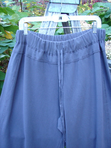 Barclay Wide Leg Bottom Panel Pant Treehouse Brum Size 2, featuring wide legs and unique seams, hangs on a white hanger outdoors, showcasing its pocketless design and full elastic waist with drawstring.