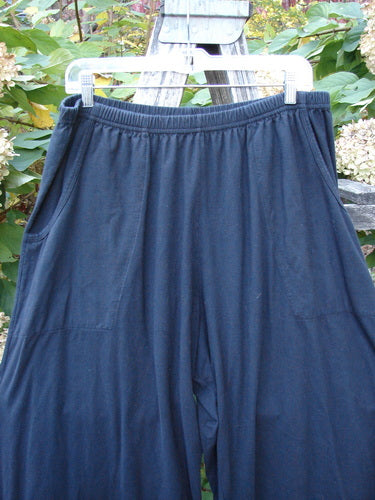 Barclay Two Pocket Pinch Cuff Wide Leg Pant Unpainted Black Size 2, featuring an elastic waistband and front patch pockets, draped elegantly on a hanger outdoors, embodying BlueFishFinder's vintage-inspired style.