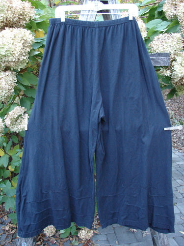 Barclay Two Pocket Pinch Cuff Wide Leg Pant Unpainted Black Size 2, featuring loose-fitting, mid-calf length with an elastic waistband, two upper pockets, and horizontal pinched pleats, displayed outdoors.