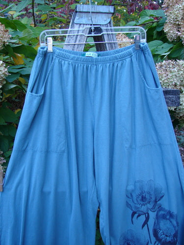 Barclay Lightweight Crop Nepenthe Pant Poppy Garden Blue Teal Size 2 features loose-fit, sky-blue design with elastic waist, side pockets, and floral print near hem, displayed outdoors against a garden backdrop.