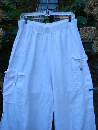 Barclay Linen Button Tab Tool Pocket Pant Unpainted Orchid Size 2 featuring loose-fitting, wide legs, elastic waistband, and multiple cargo-style pockets with button flaps, hanging outdoors against garden foliage.