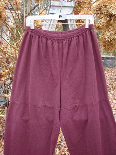 Barclay Quadrant Pant Unpainted Burgundy Size 1, featuring a loose, elastic-waist design with unique horizontal thigh seams, hanging outdoors. Made from organic cotton, reflecting BlueFishFinder's vintage and creative style.