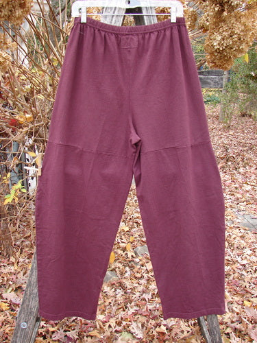 Barclay Quadrant Pant Unpainted Burgundy Size 1, featuring a loose fit, elastic waistband, and unique thigh seams, displayed outdoors on a hanger among autumn leaves and dried hydrangeas.