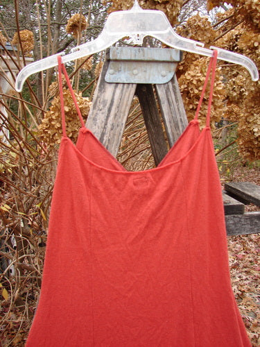2000 Wool Pointelle Lulu Slip Dress Sienna Smaller Size 0 hangs on a clear hanger outdoors, showcasing thin straps, criss-cross bodice, and unique horizontal layers with lettuce edging, highlighting vintage Blue Fish style.
