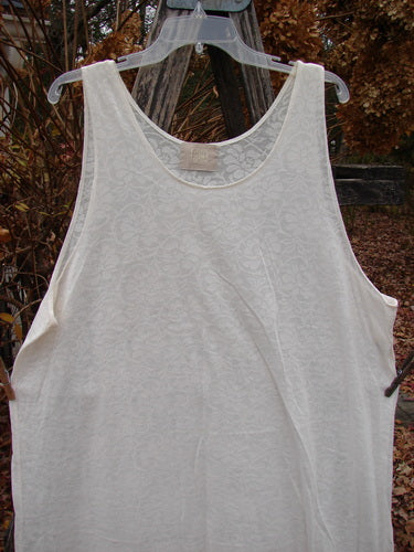 2000 Lace Slip Dress Unpainted Natural Size 2: A sleeveless, white tank-style shirt featuring a scooped neckline and sheer lace pattern, hanging on a plastic hanger against a rustic outdoor backdrop.