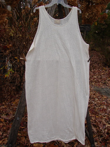 2000 Lace Slip Dress Unpainted Natural Size 2 displayed hanging outdoors on a plastic hanger, showcasing its sleeveless design, scooped neckline, and sheer lace pattern, embodying the vintage elegance of Blue Fish Clothing.