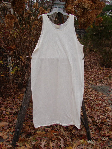 2000 Lace Slip Dress Unpainted Natural Size 2, displayed on a hanger over a wooden stepladder amidst fallen leaves, showcasing its sheer lace pattern, scooped neckline, and deep arm openings.