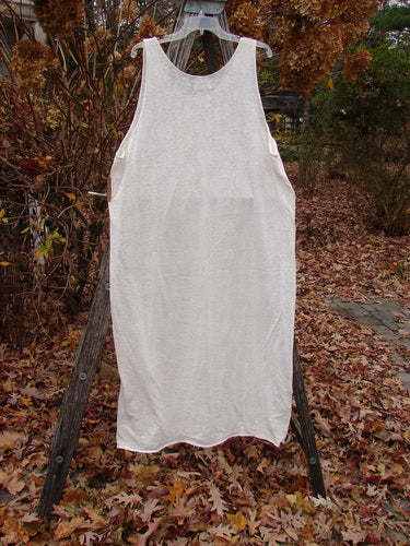 2000 Lace Slip Dress Unpainted Natural Size 2 hangs outdoors from a wooden ladder, showcasing its sleeveless, scoop-neck design and sheer lace pattern, ideal for layering in a vintage-inspired wardrobe.