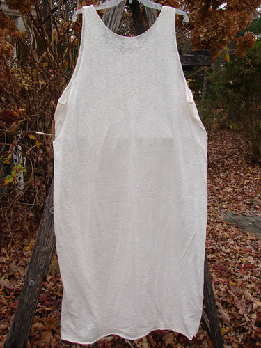 2000 Lace Slip Dress Unpainted Natural Size 2, displayed outdoors on a hanger amidst fallen leaves, showcases its sleeveless design and intricate sheer lace patterning, embodying Bluefishfinder.com's unique vintage style.