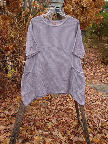 Barclay Gauze Two Pocket Urchin Dress Unpainted Light Plum Stripe Size 1, featuring a loose fit with mid-length sleeves, crew neckline, side pockets, and textured fabric, hanging on a ladder amidst autumn leaves.