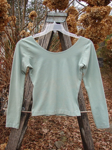 1994 Cotton Lycra Ballerina Layering Top Unpainted Menthe Smaller Size 1, light green with long sleeves, hangs on a clear plastic hanger on an old wooden stepladder in a late-autumn garden setting.