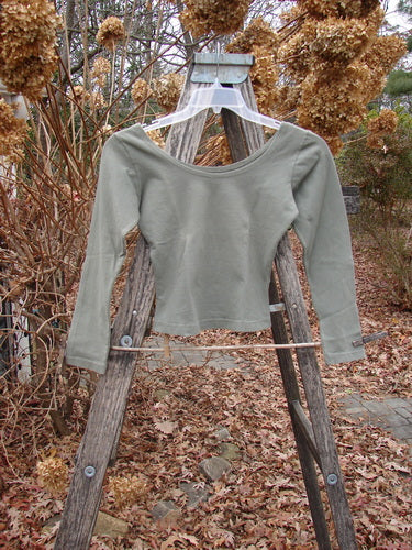 1994 Cotton Lycra Ballerina Layering Top Unpainted Seaweed Smaller Size 1, an olive-green cropped top with long sleeves and a ballerina neckline, displayed on a wooden ladder amidst autumn leaves and dried hydrangeas.