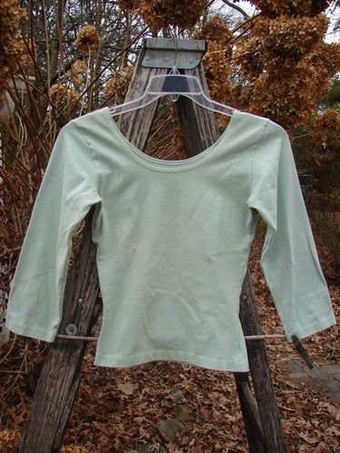 1994 Cotton Lycra Ballerina Layering Top Unpainted Aloe Smaller Size 2 displayed on a clear hanger over a wooden ladder, showcasing its scoop neckline, long sleeves, and shapely fit against a natural backdrop.