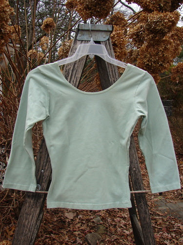 1994 Cotton Lycra Ballerina Layering Top Unpainted Aloe Smaller Size 2, displayed on a clear hanger against a rustic wooden frame, showcasing its scoop neck, long sleeves, and tapered waist.