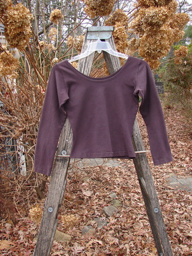 1994 Cotton Lycra Ballerina Layering Top in Redyed Black Cherry, hanging on a weathered wooden ladder, showcases its scoop neckline and fitted design in an autumn garden setting, enhancing its vintage appeal.