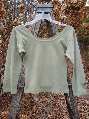 1994 Cotton Lycra Ballerina Layering Top Unpainted Seagrass Smaller Size 2, displayed on a clear hanger over a wooden ladder, highlights its fitted design with a ballerina neckline and quarter-length sleeves.