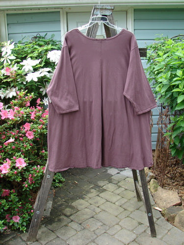 Barclay Hi Low Pocket Tunic Top Unpainted Earthen Plum Size 2, displayed on a wooden rack. This organic cotton tunic features a rounded neckline, varying hemline, sweeping A-line shape, and double front pockets.