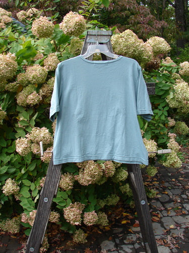 1999 Patched Short Sleeved Crop Tee Dragonfly Stream Size 1 displayed on a wooden ladder, showcasing the classic dragonfly patch and feminine rolled neckline.