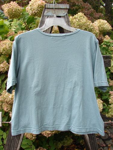 1999 Patched Short Sleeved Crop Tee Dragonfly Stream Size 1 displayed on a hanger, showcasing its classic dragonfly patch and feminine rolled neckline.