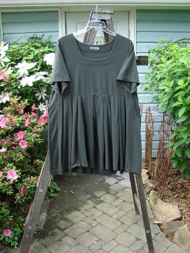 Barclay Boxcar Dress Rear Orchid Raven Size 2 displayed on a rack, showcasing its empire waist seam, wide full pleats, and distinctive orchid blossom theme.