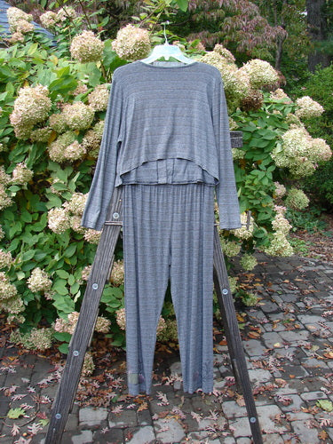 2000 Rayon Lycra Stripe Duo in Cliffshadow Stripe Size 2, featuring a grey striped topper with a single button closure and matching straight pants, displayed on a wooden ladder.