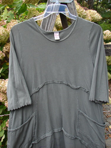 Barclay Cotton Lycra Raw Edge Vector Pocket Tunic Dot Grey Green Size 1 displayed on a wooden pole, highlighting its three-quarter sleeves, rounded neckline, and two exterior pockets.