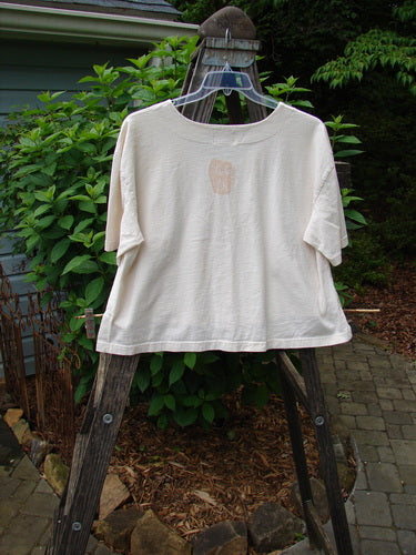 2001 Button Crop Top Game Garden Natural Size 1 displayed on a hanger, showcasing its boxy style, wide short sleeves, deeper rounded neckline, and unique button detailing.