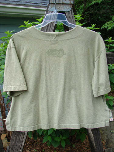 2001 Button Crop Top Junk Drawer Kelp Size 0 displayed on a hanger, showcasing its boxy style, vented hemline, wide short sleeves, and unique button details.